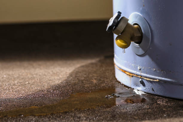 Best Emergency water extraction  in Hull, IA
