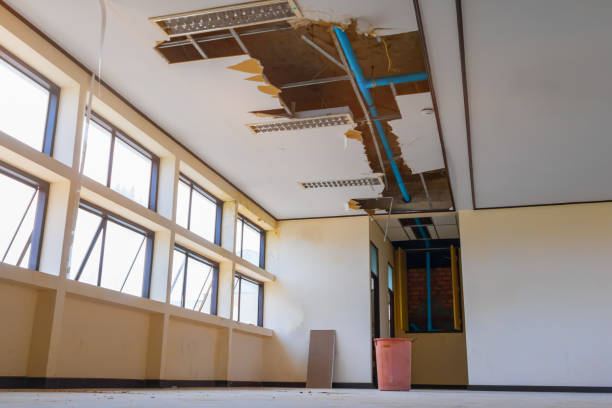 Best Ceiling water damage repair  in Hull, IA