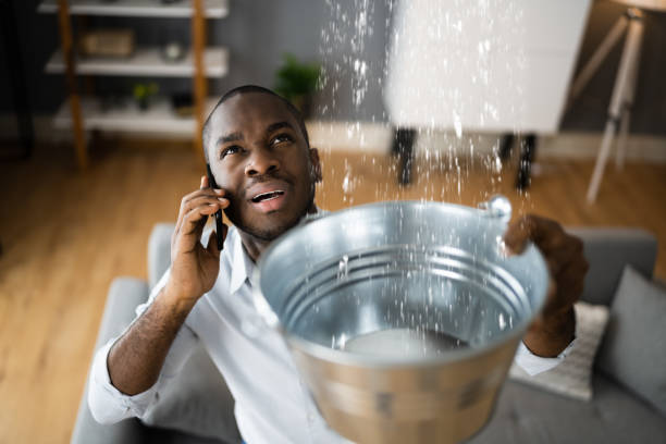 Best Flooded house restoration  in Hull, IA