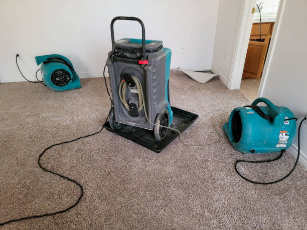 Best Sewage cleanup and water damage restoration  in Hull, IA