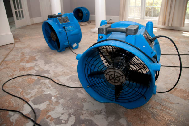 Best Flood restoration services  in Hull, IA