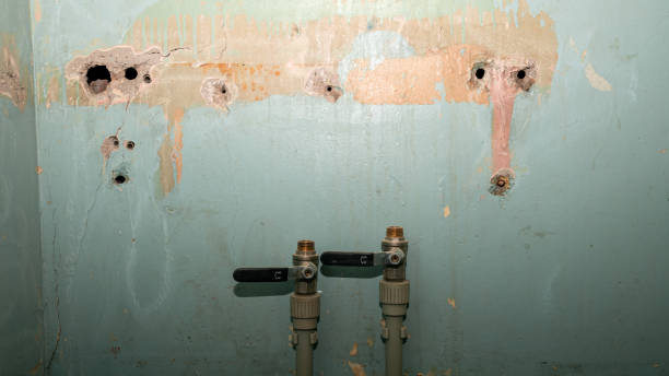 Best Fire Damage Restoration  in Hull, IA