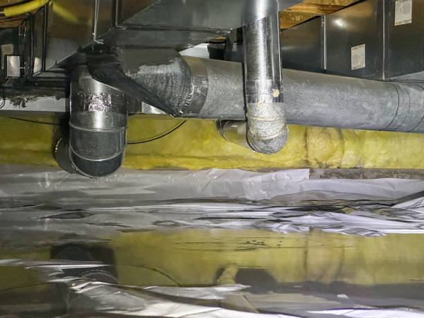 Best Ceiling water damage repair  in Hull, IA