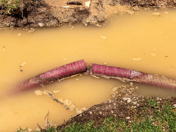 Best Water damage cleanup near me  in Hull, IA