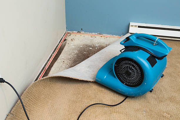 Best Water damage restoration near me  in Hull, IA